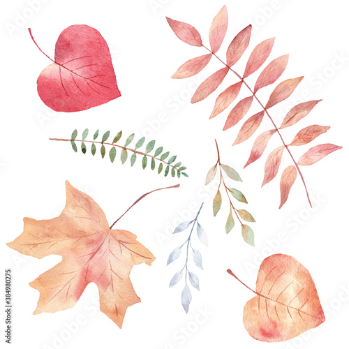 Obraz na płótnie Watercolor set of orange and greenery leaves clipart. Fall illustration. Hand painted graphics. w salonie