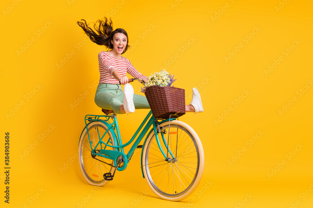 Full length body size photo of funky girl riding bicycle keeping legs up screaming isolated on bright yellow color background - obrazy, fototapety, plakaty 