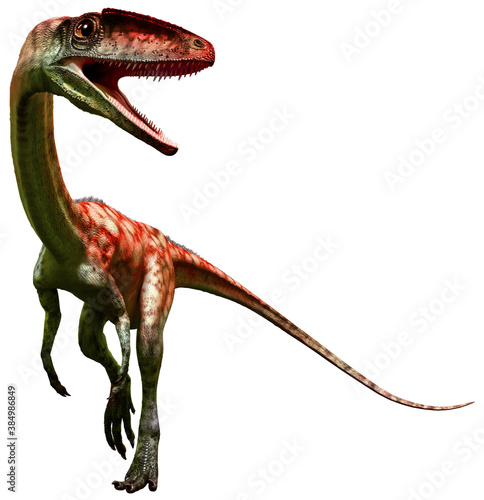 Coelophysis from the Triassic era 3D illustration photo