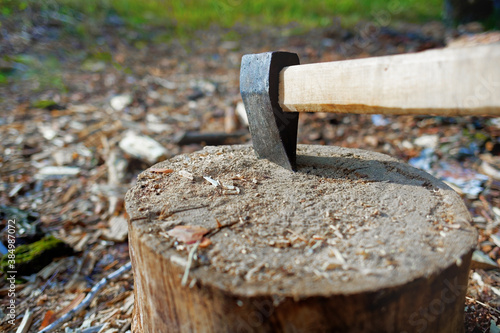 An axe in a chock. Wood harvesting in the forest.