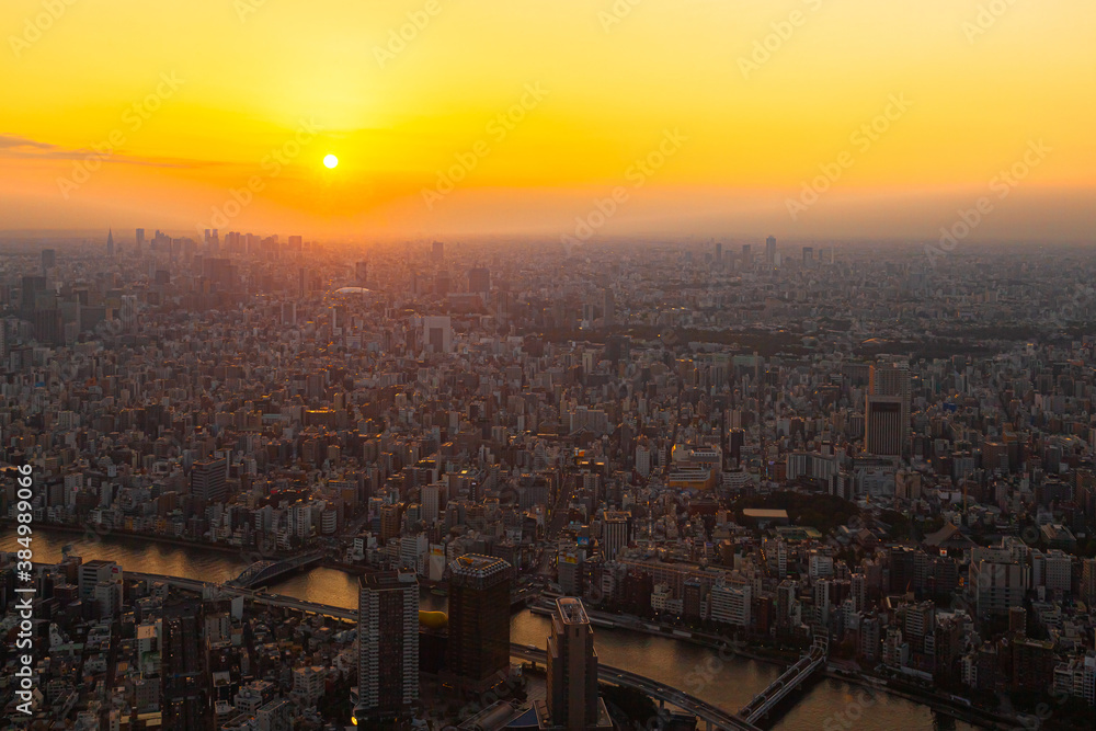 Naklejka premium 東京 夕景