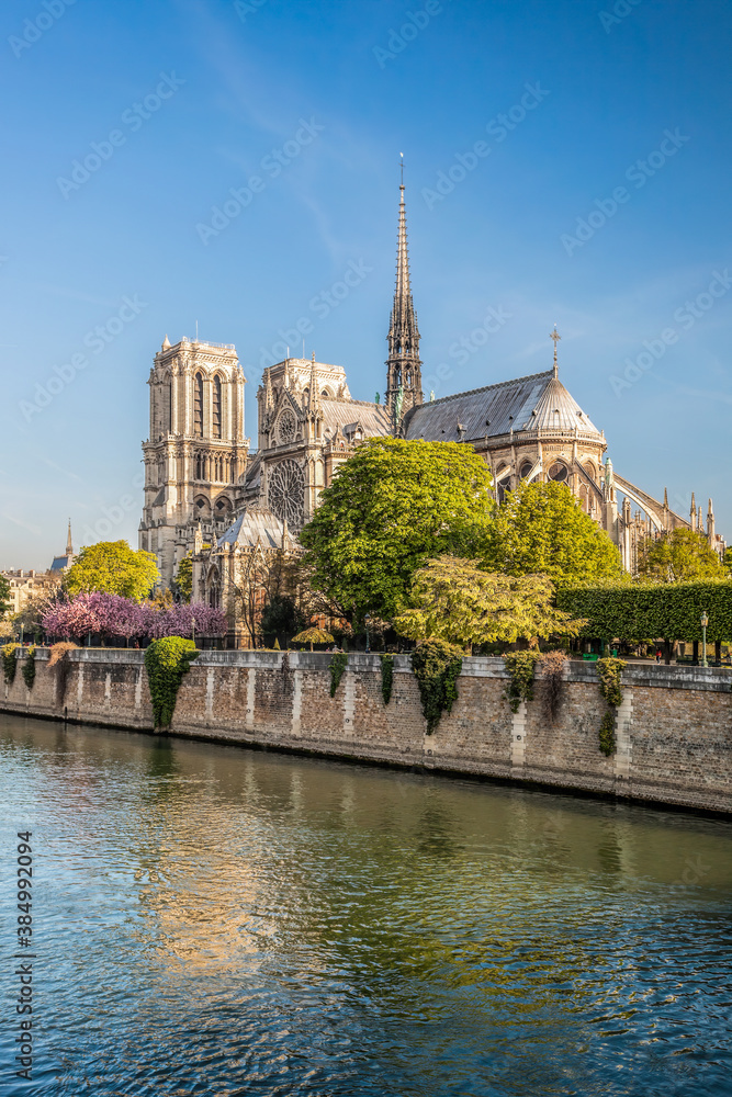 Notre Dame cathedral with Seine river during spring time in Paris, France