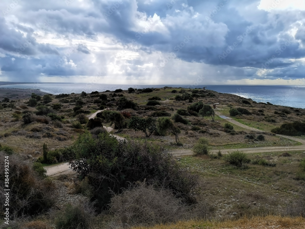 Fototapeta premium Kourion Outdoor Museum and the ruins of Ancient Greek buildings. The territory is full of olive trees and other evergreen trees and shrubs.