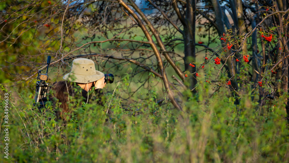 Obraz premium photographer taking pictures of wildlife
