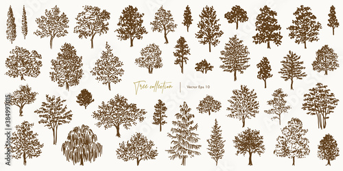 Collection of tree silhouettes