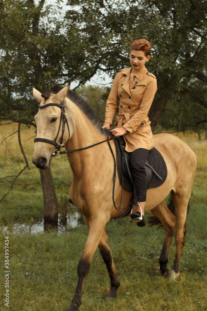 Young cow girl walking horse in green field. People and animal portrait. Horseback riding view. Active weekend. 
Beautiful young woman walking with brown horse on green field
