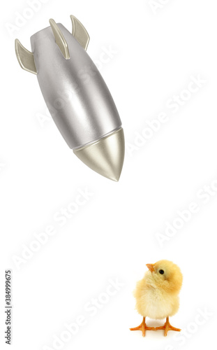 Helpless chick is looking up at the bomb rocket conceptual photo about attacking weaker side 