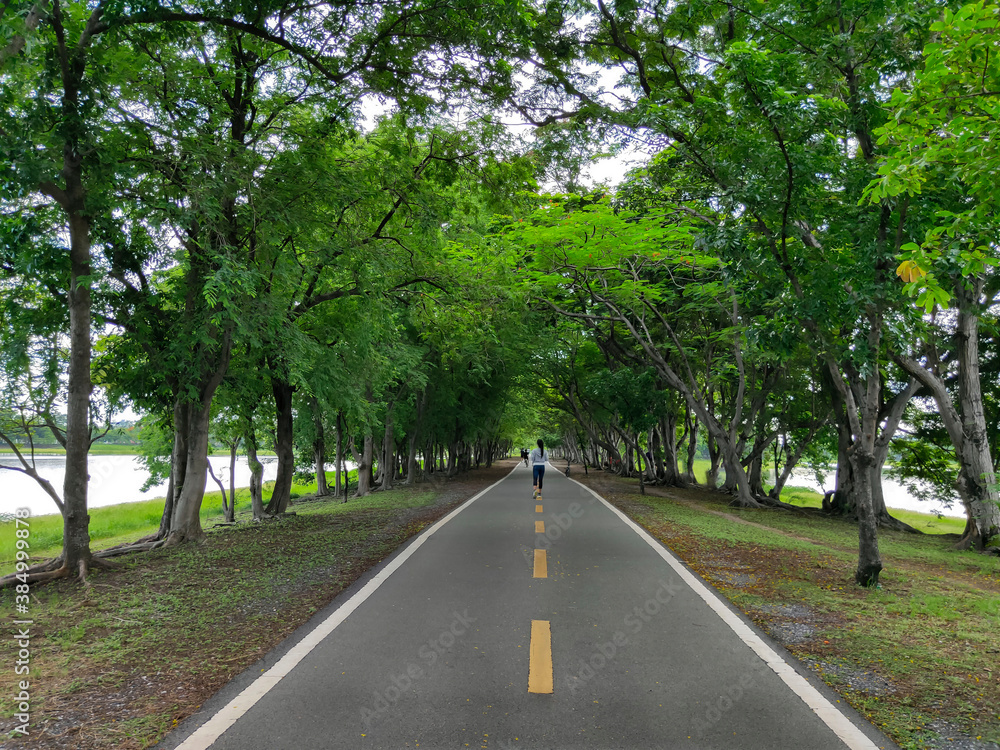Obraz premium road in the park