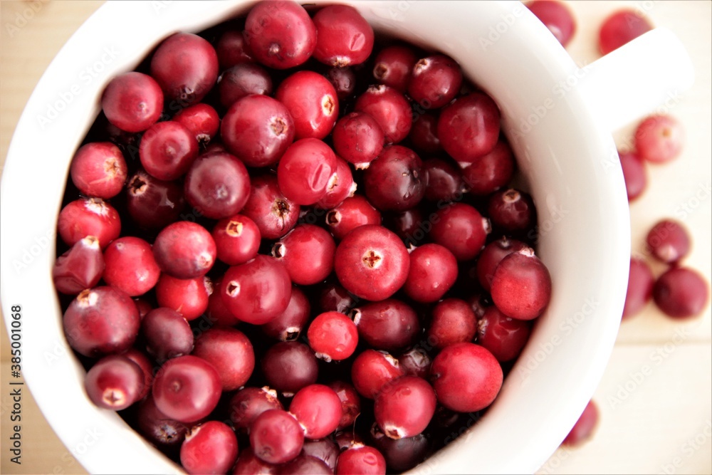 cranberries in a bowl cranberries in a bowl