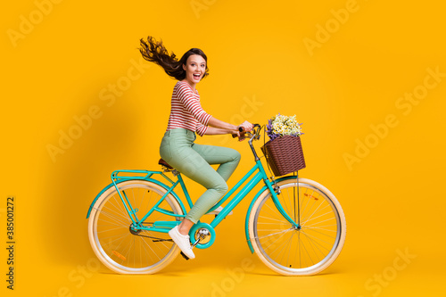 Full length body size side profile photo of cheerful girl riding blue bicycle with basket of flowers isolated on vibrant yellow color background photo