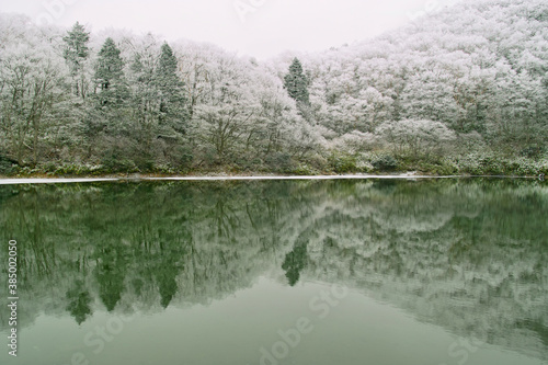 霧氷