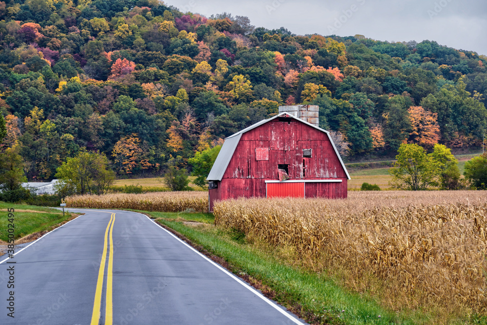 Fall foliage in Ohio during the month of October. 
 - obrazy, fototapety, plakaty 