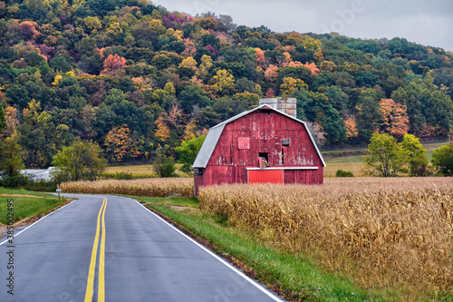 Fall foliage in Ohio during the month of October. 
 photo