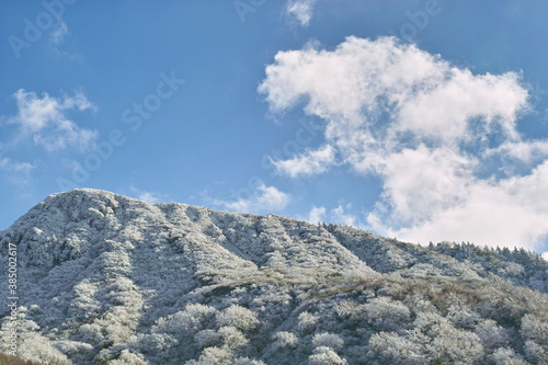 Wallpaper Mural 霧氷の山 Torontodigital.ca