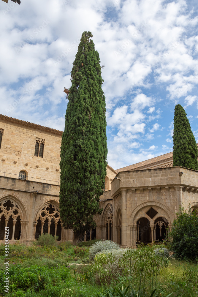 Vertical view of cypress trees inside the cloister garden of the Cistercian Monastery of Poblet, Tarragona, Spain, September 24, 2020