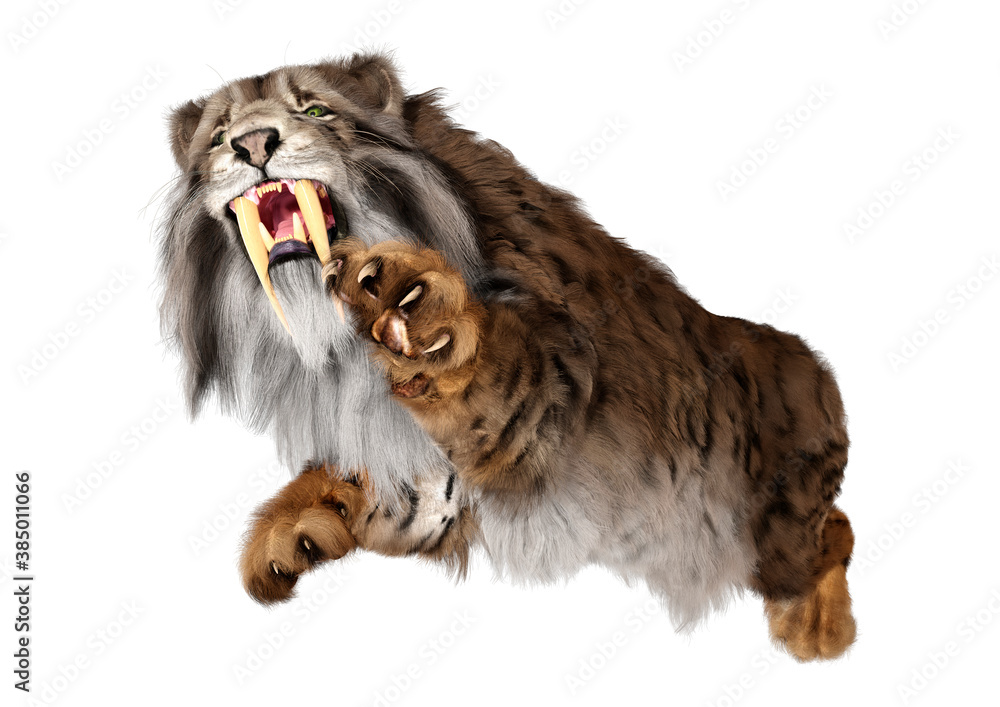 Obraz premium 3D Rendering Sabertooth Tiger on White