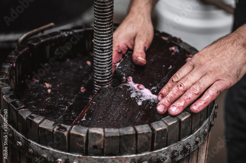 Farmer making red vine from purple grpapes.