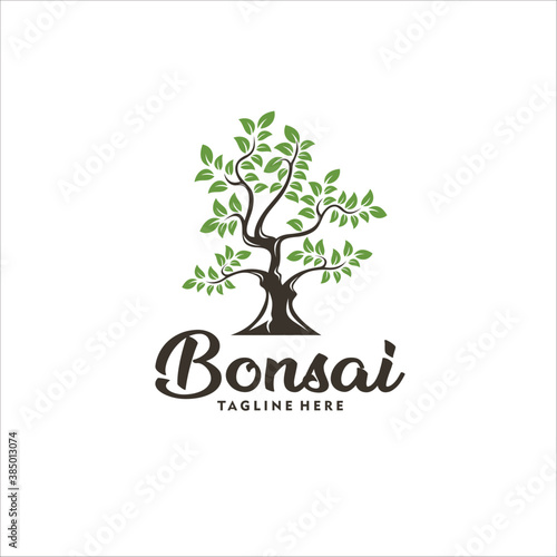 bonsai oak tree logo design template silhouette vector