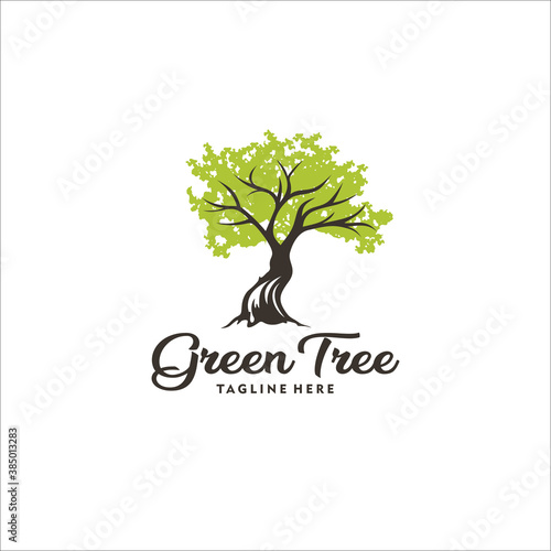 oak tree logo design template silhouette vector