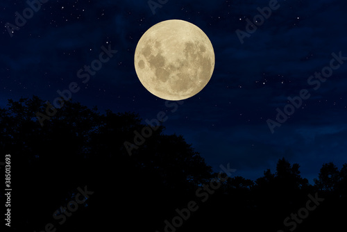 Full moon over silhouette trees in the night.