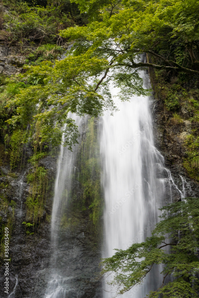 日本の雄大に流れる箕面の滝