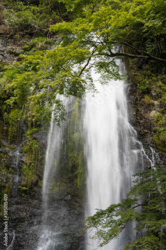 日本の雄大に流れる箕面の滝