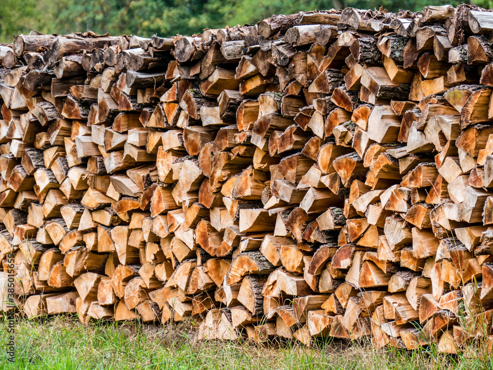 Frisch gesägtes und aufgesetztes Brennholz auf Wiese im Herbst
