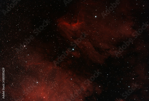 Photograph of the nebulous region surrounding star Cyg 57, including the Pelican Nebula (IC 5070)