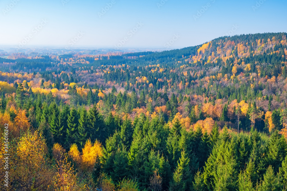 Beautiful aerial view at a woodland with autumn colours