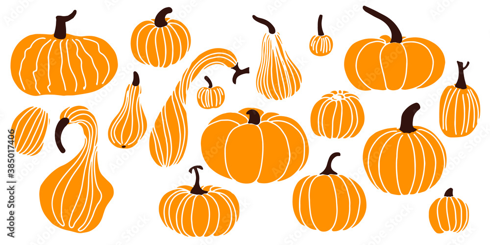 orange pumpkins of different sizes isolated on white background. Flat lay. Vector illustration orange pumpkins of different sizes isolated on white background. Flat lay. Vector illustration