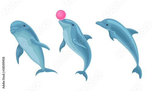 Blue Dolphin as Aquatic Mammal with Streamlined Body and Flippers Vector Set