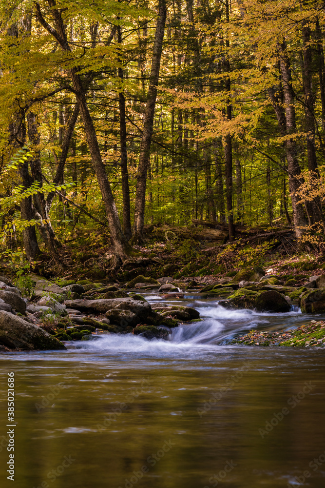 Falling leaves in bright autumn foliage surrounds Rondout Creek in Peekamoose Forest Catskills 