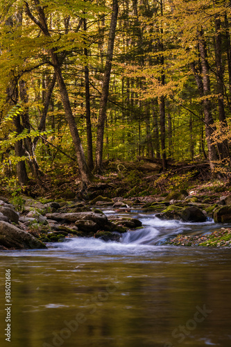 Fototapeta Naklejka Na Ścianę i Meble -  Falling leaves in bright autumn foliage surrounds Rondout Creek in Peekamoose Forest Catskills 