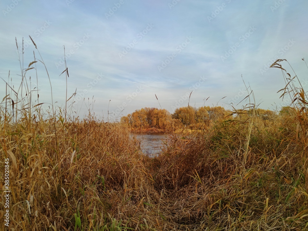 beautiful blue sky over yellow autumn river banks