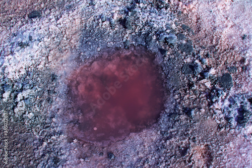 Salt, brine and mud of pink salty Sivash Lake near Azov Sea, colored by micro algae Dunaliella salina, enriching water of the lake by beta-carotene photo