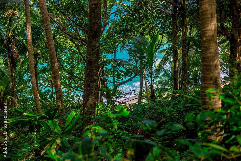 Obraz premium Natural background of seaside scenery (with coconut trees, boulders, sandy beach) and blurred sea waves.