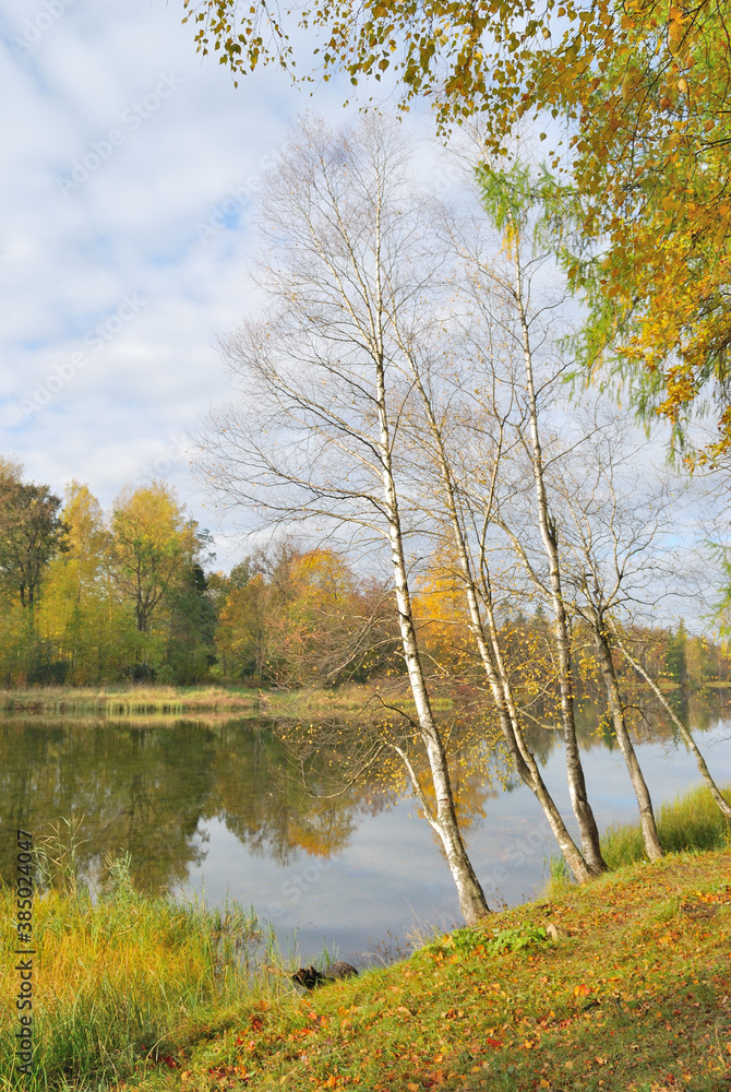 Fototapeta premium Autumn in the park