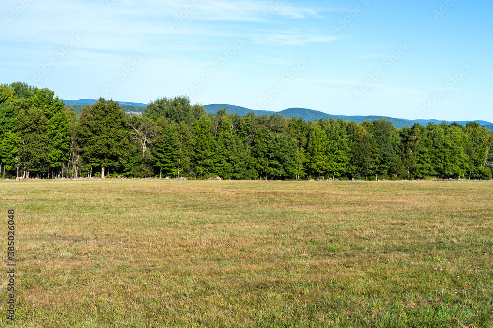 Vacant land with trees and a distant rock wall with mountains and sky above. Vacant land with trees and a distant rock wall with mountains and sky above.