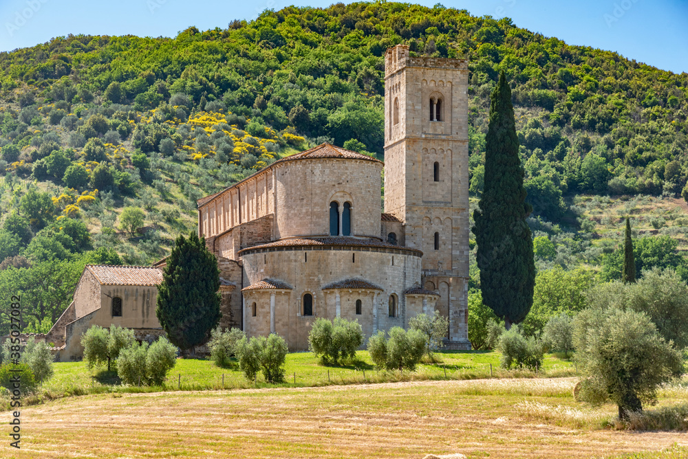 Colline di Montalcino in provincia di SIENA Colline di Montalcino in provincia di SIENA