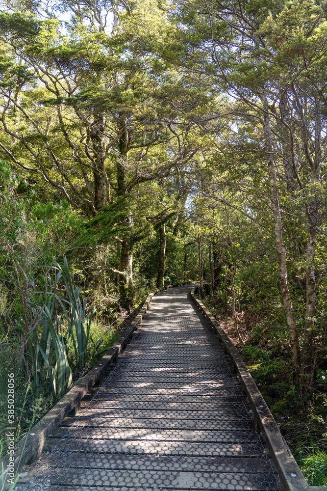 Naklejka premium Milford Sound is a fiord in the southwest of New Zealand’s South Island. 