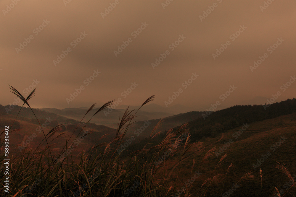 Fototapeta premium 秋吉台から望む朝の山並み