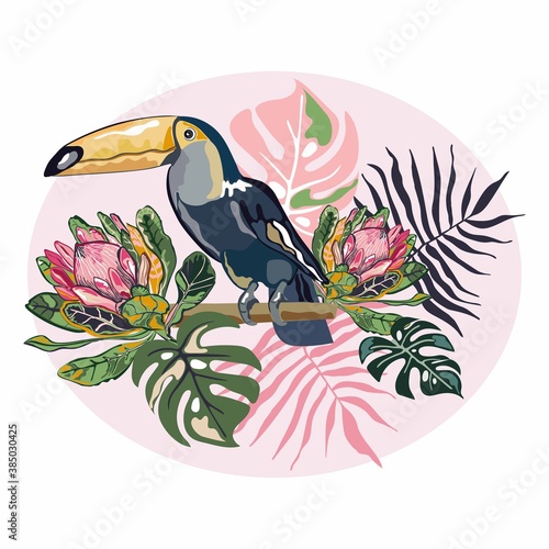 Vector illustration of a toucan bird in flowers. Tropical bird, tropical plants. Royal protea. Isolated on white background.