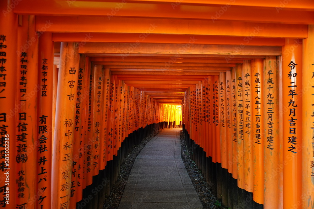 Fototapeta premium 日本京都伏見稲荷大社の千本鳥居。