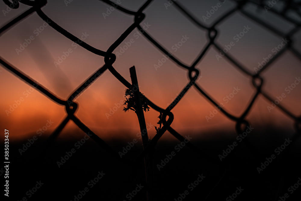 barbed wire fence at sunset sky tree silhouette barbed wire fence at sunset sky tree silhouette
