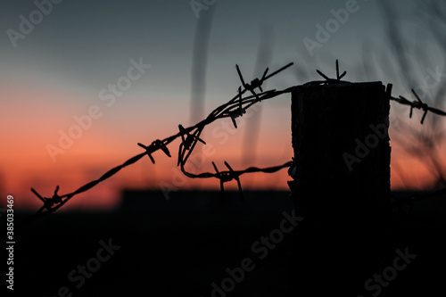 barbed wire fence at sunset sky tree silhouette