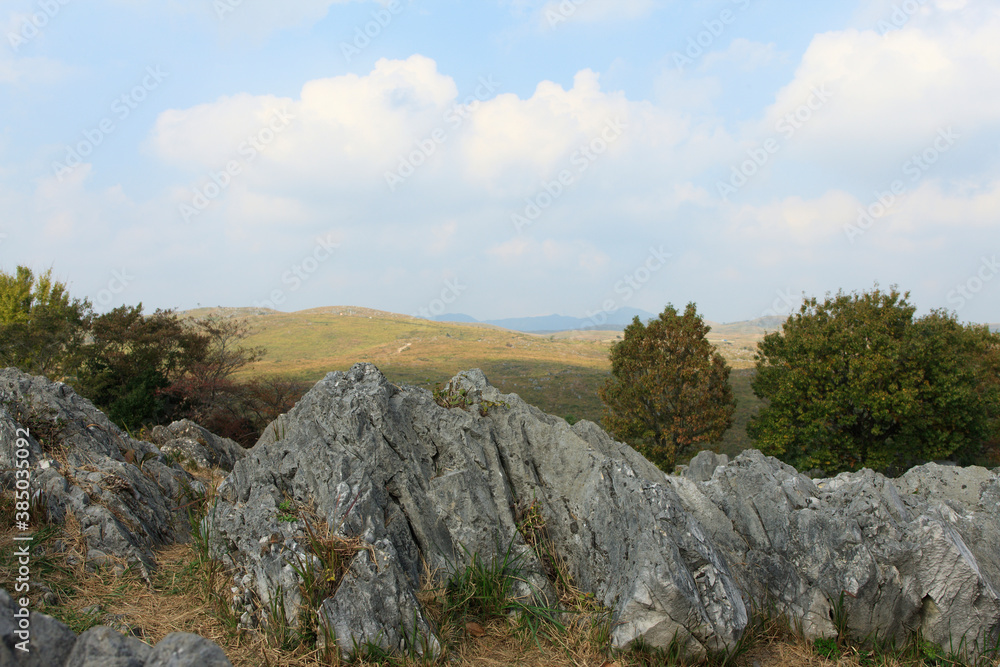 秋の秋吉台 秋の秋吉台