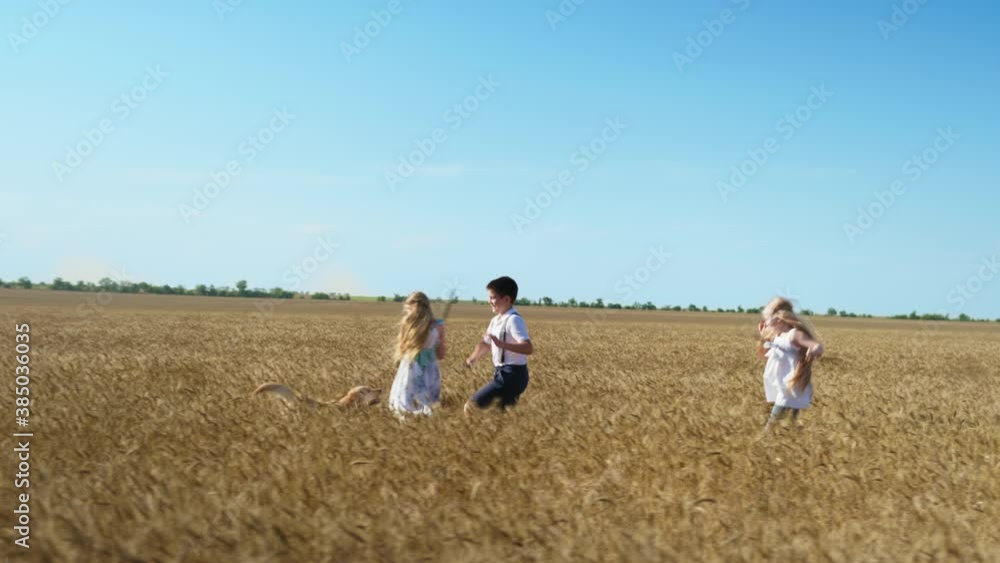 happy childhood, children with sticks in their hands play with the dog and run along the wheat field against the blue sky in slow motion happy childhood, children with sticks in their hands play with the dog and run along the wheat field against the blue sky in slow motion