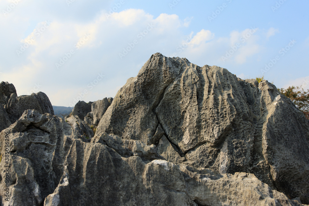 秋の秋吉台