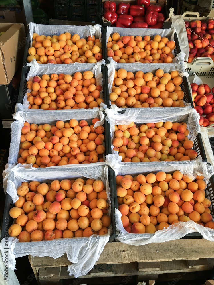 Group of ripe and fresh apricot at farmers market. Food shop with vegetables. Mobile photo.
