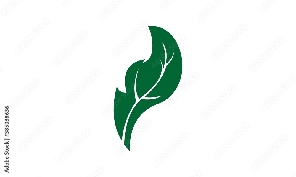 leaf icon vector leaf icon vector